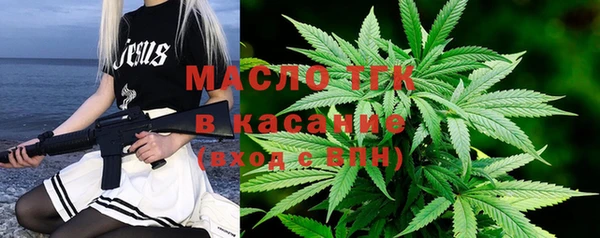 индика Михайловск