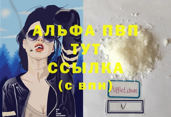 гашик Малоярославец