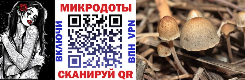 Галлюциногенные грибы Psilocybe  хочу наркоту  darknet как зайти  Нижние Серги 