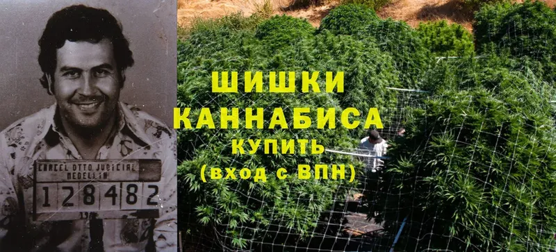 Марихуана OG Kush  купить наркотик  Нижние Серги 